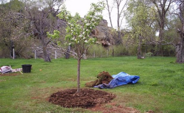 ������� ������