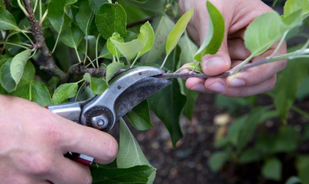 �������