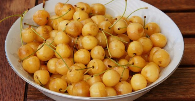 белая черешня белая черешня