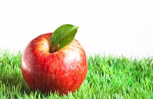 Полное описание сорта яблок Гала
