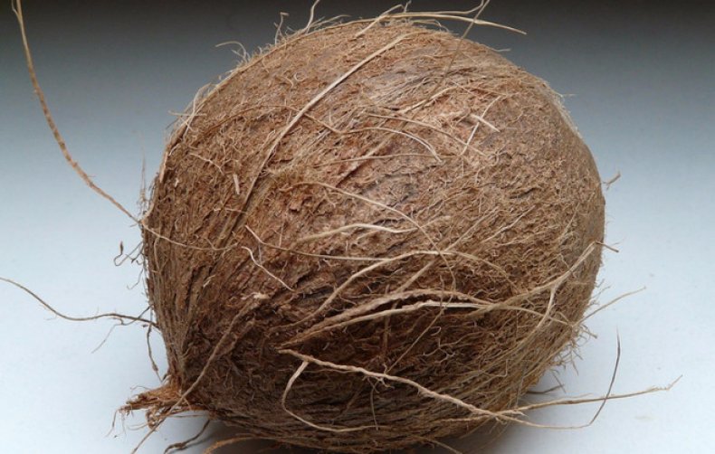 3 способа как правильно и легко почистить кокос самостоятельно в домашних условиях