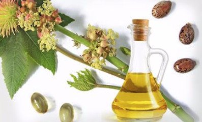 Полив и подкормка касторовым маслом комнатных растений, цветов ...