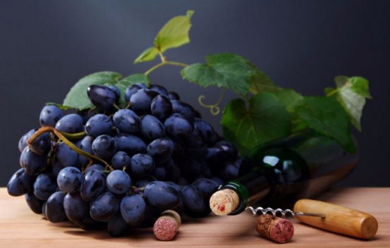 виноград, польза, вред, целебный, противопоказание, черного винограда