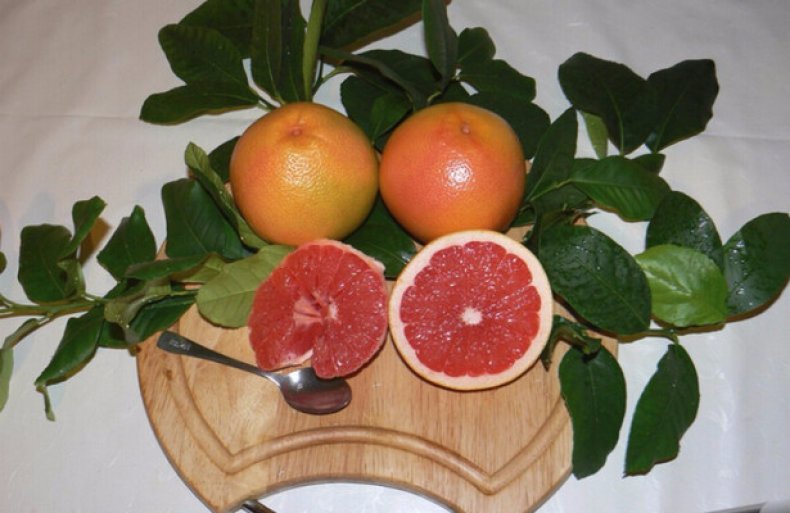 Как выращивать грейпфрут в домашних условиях?