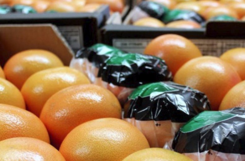 Как выращивать грейпфрут в домашних условиях?