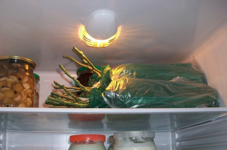 Хранение саженцев в холодильнике