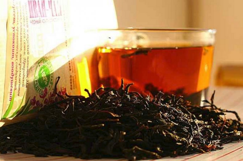 Иван-чай (кипрей узколистный, плакун) лечебные свойства и противопоказания, применение в народной