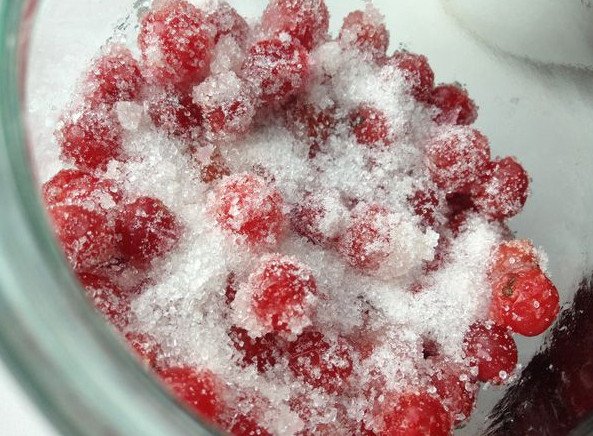 Калина с сахаром польза