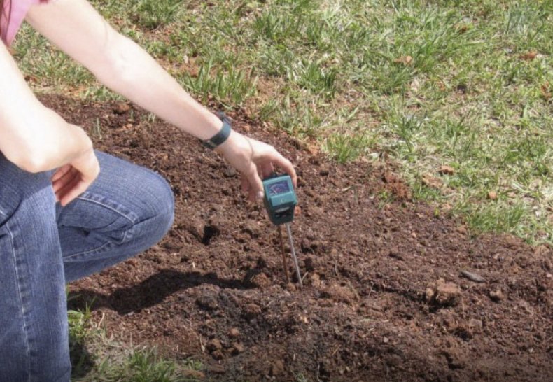 Определение кислотности почвы