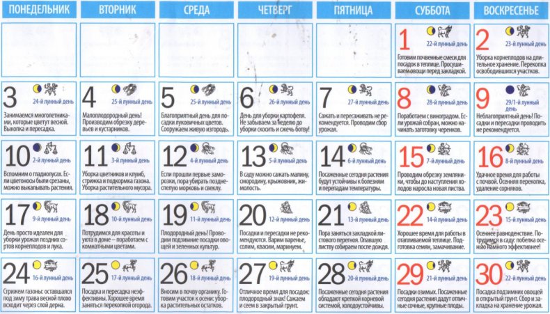 Лунный календарь огородных работ на сентябрь 2018