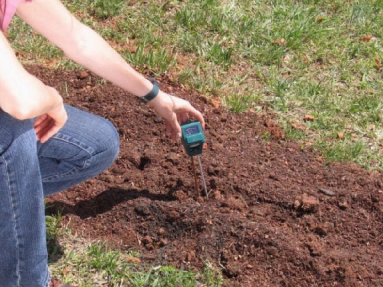 Определение кислотности почвы