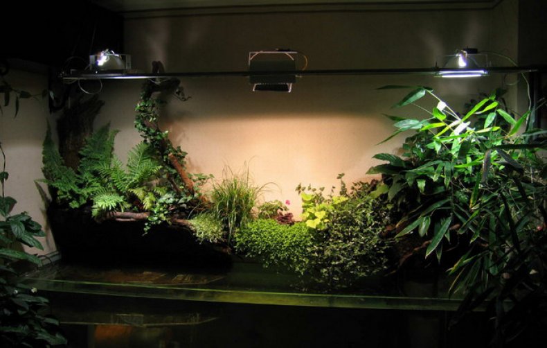 Лампы для комнатных растений