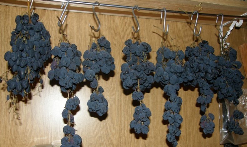 хранения винограда на гребненожках
