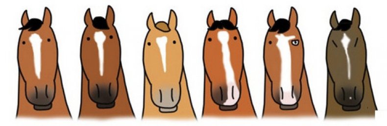 кличка, лошадь, мальчик, девочка, Правила выбора, соревнований спортивного