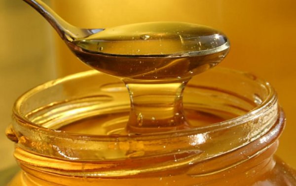 Как проверить мёд в домашних условиях