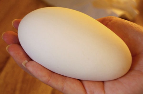 Гусиные яйца: польза и вред, что можно сделать, сколько варить вкрутую