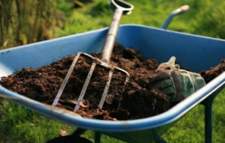 Почва и удобрения