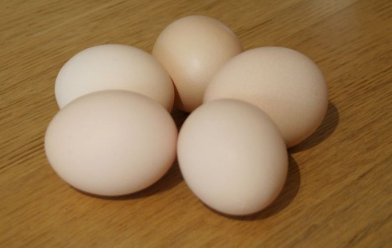 Яйца моравской курицы