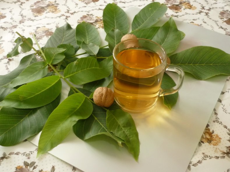 Чай на основе грецкого ореха
