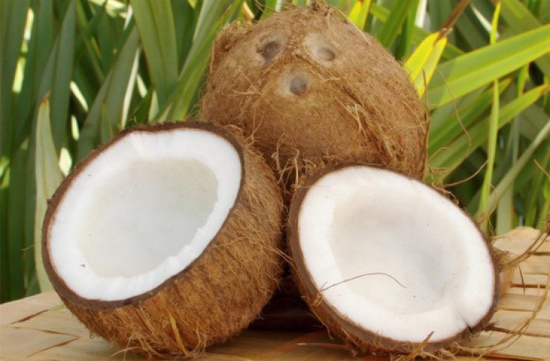кокос, польза, вред, организм