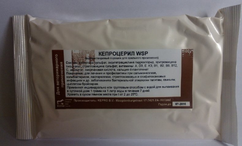 Кепроцерил является антибактериальным препаратом