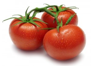 Сорта томатов для Сибири