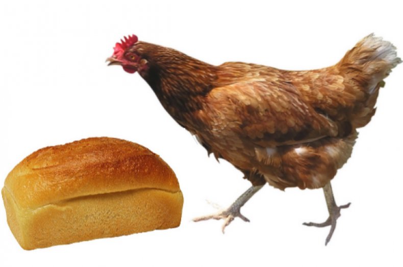 Хлеб для кур