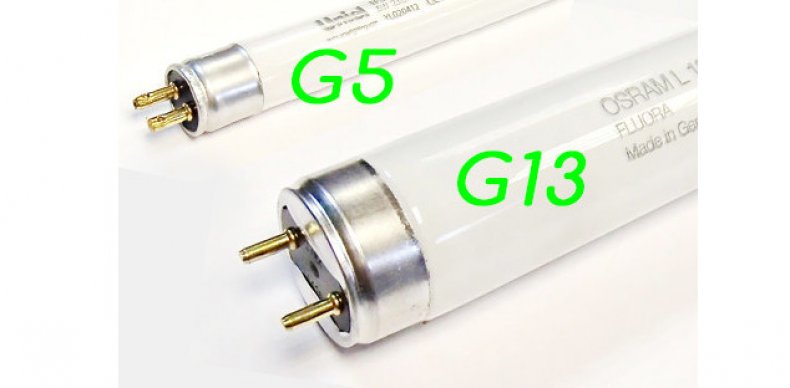 G13 и G5
