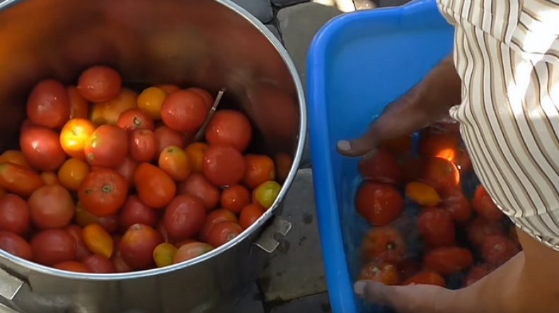 Квашеные помидоры в кастрюле