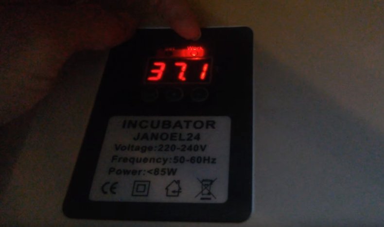 Инкубатор «Janoel 24» автоматический обзор, описание характеристик и инструкция по применению