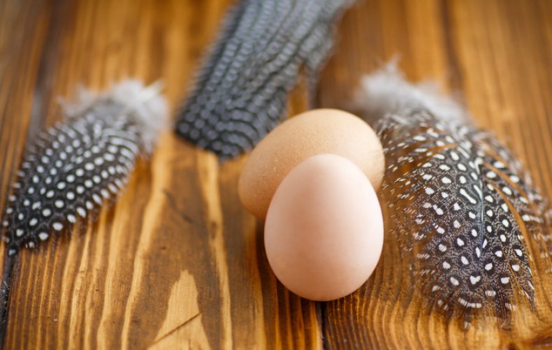 Цесариные яйца