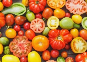 Лучшие сорта томатов для Ленинградской области