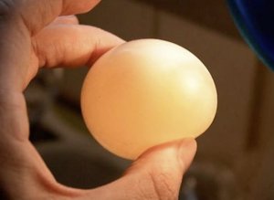 Тонкая скорлупа у куриных яиц, что делать?