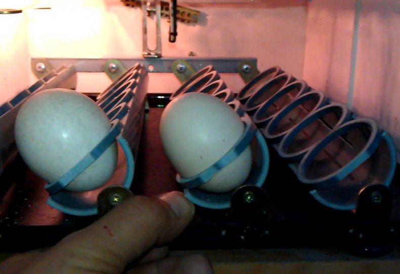 Как сделать самому автоматический инкубатор с автоматическим переворотом яиц
