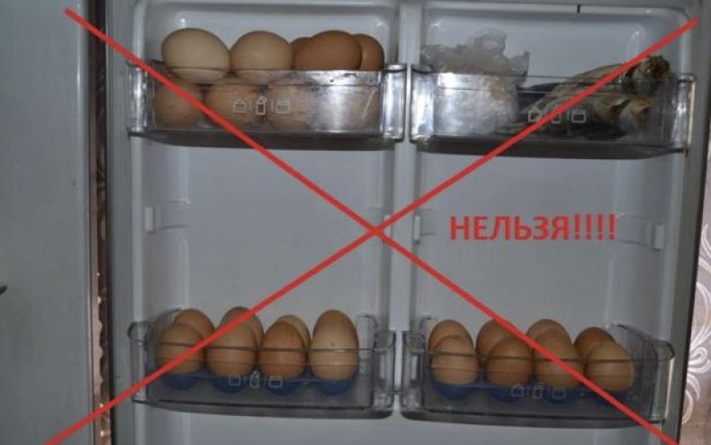 Хранить икубационное яйцо в холодильнике без надлежащих условий нельзя