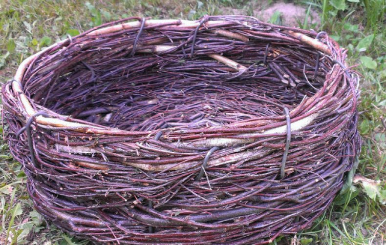Плетенное гнездо