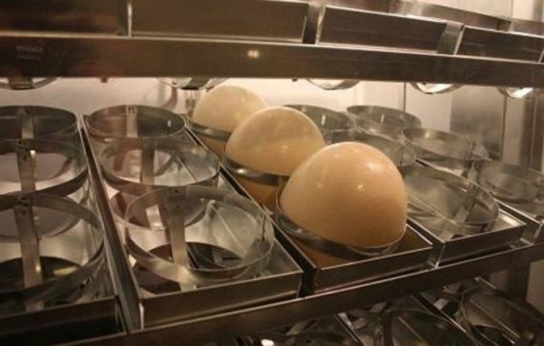 Инкубация страусиных яиц
