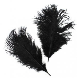 Страусиные перья