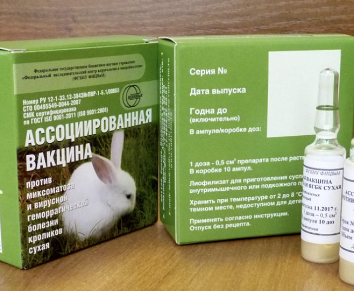 Вакцина миксоматоза инструкция. Вакцина ВГБК+миксоматоз. Вгбк2 вакцина для кроликов. Вакцина от ВГБК для кроликов.