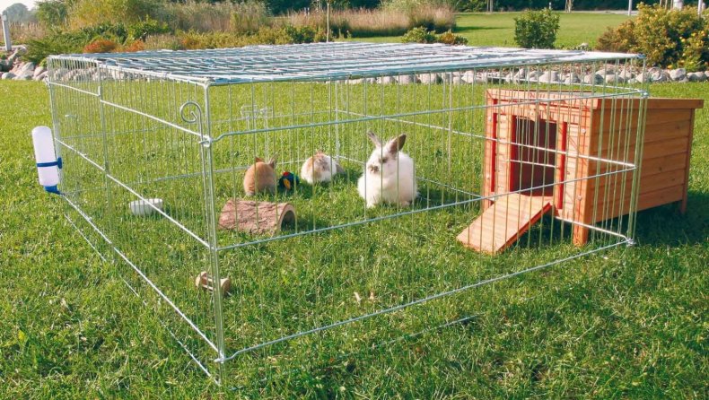 Загон для кроликов