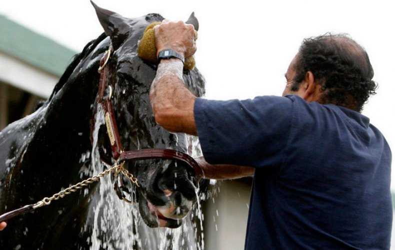 Мытье лошади
