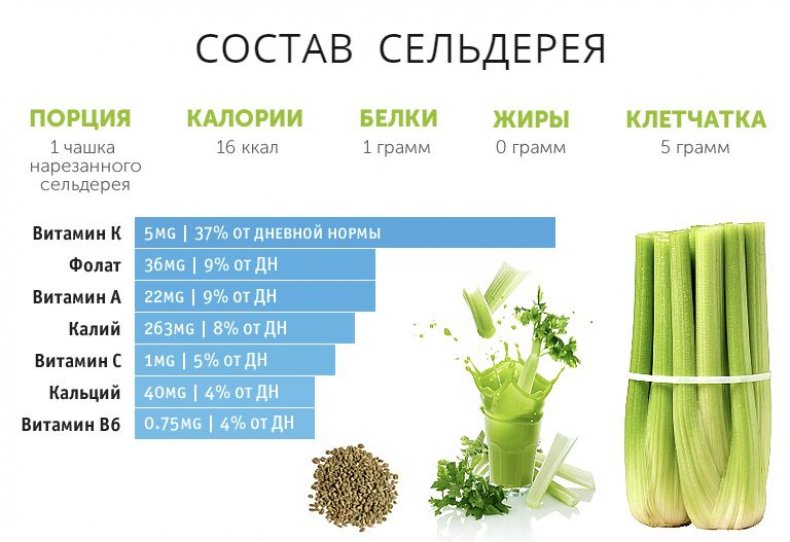 сельдерей, листовой, противопоказание, здоровье, употребление, витаминов минералов