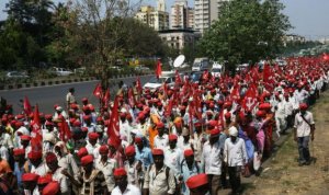 Индийские фермеры взбунтованы против действий власти