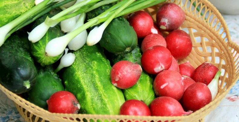 Редис и огурцы местного выращивания дешевеют в Украине