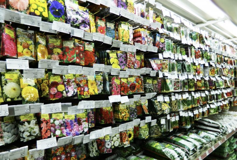 Асортимент различных сортов цветов и огородных культур семенами в магазине