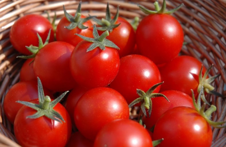 Министерство сельского хозяйства РФ увеличивает квоту на поставку томатов из Турции
