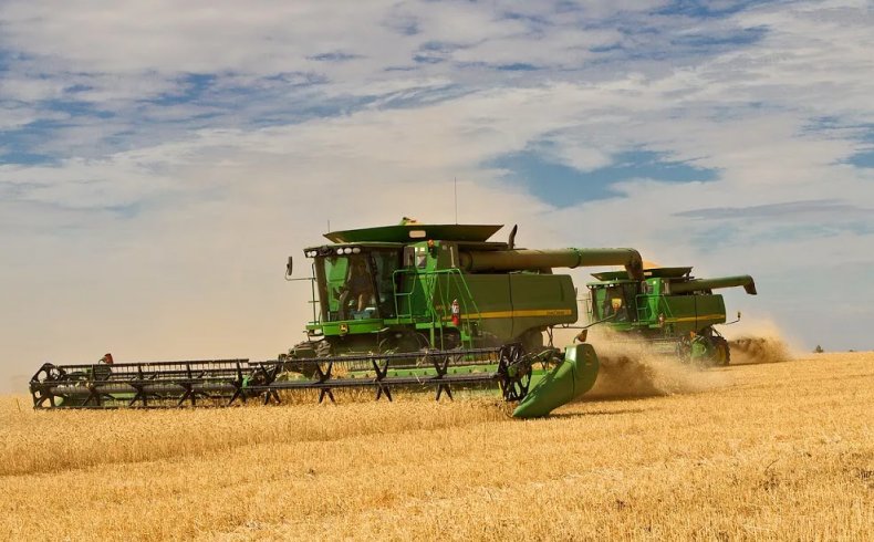 Липецкие аграрии планируют собрать 3 млн тонн зерновых