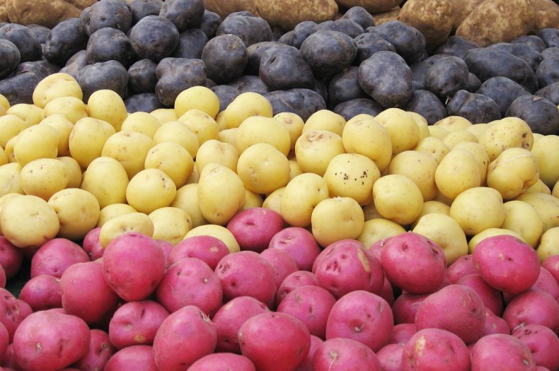 Горячий картофель: профессор Мичиганского государственного университета разрабатывает новые сорта для всего мира