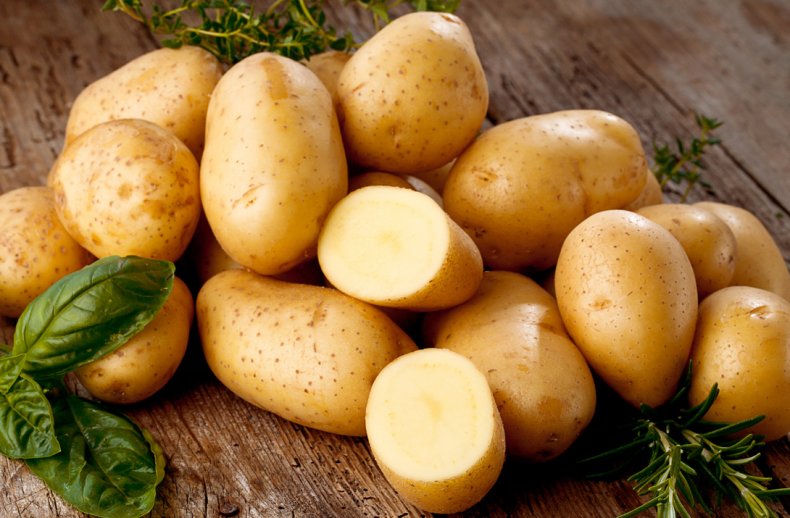 Украинский картофель «in vitro» выращивают в Херсоне