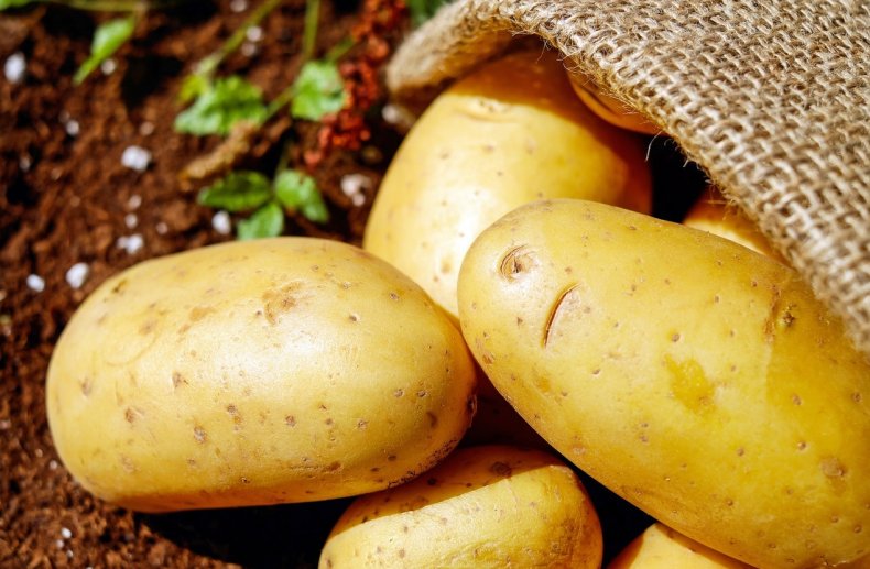 Приморские аграрии намерены увеличить производство картофеля на 2 процента
